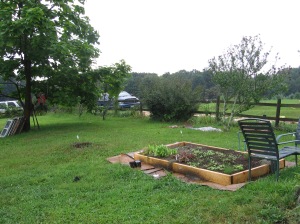 Raised bed for herbs and greens